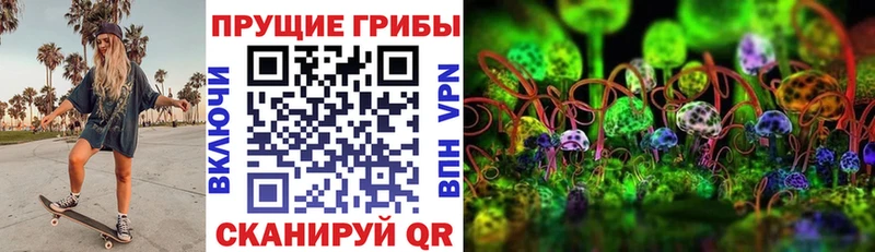 Псилоцибиновые грибы Cubensis  где продают   кракен ССЫЛКА  Благовещенск 
