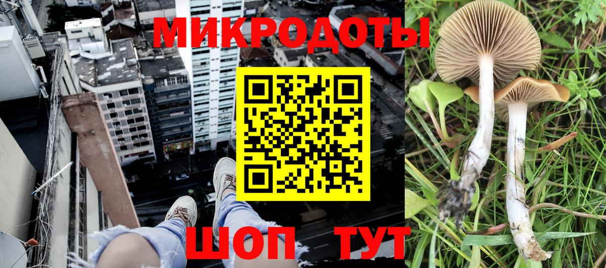 Галлюциногенные грибы MAGIC MUSHROOMS Благовещенск