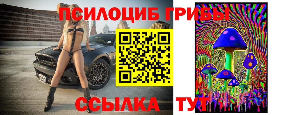 Благовещенск  Галлюциногенные грибы ЛСД  Вход с VPN 